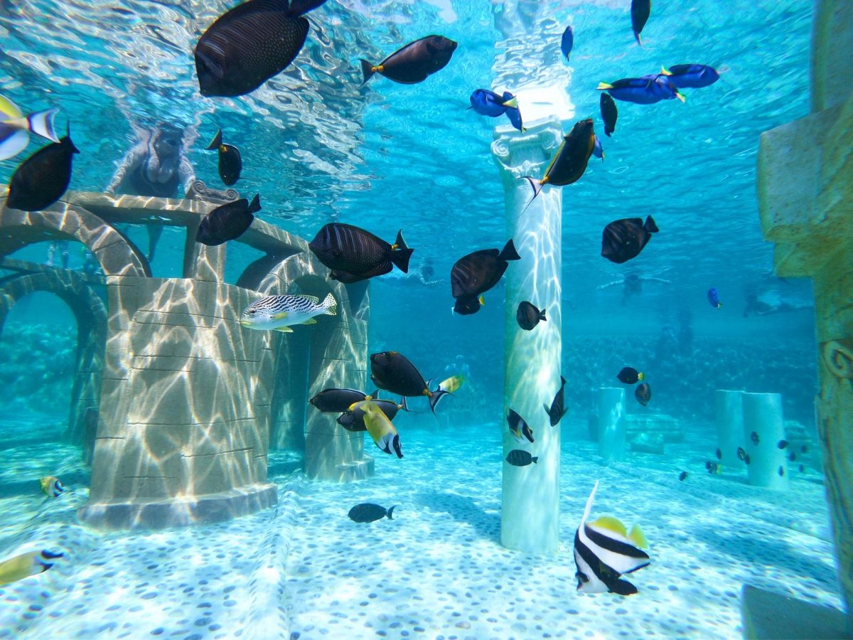 Морской парк Sealanya Sea Park