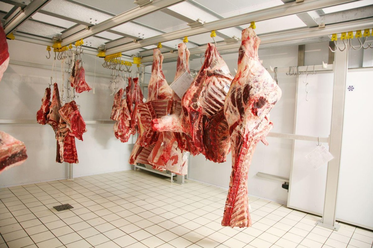 Подвесные пути для полутуш