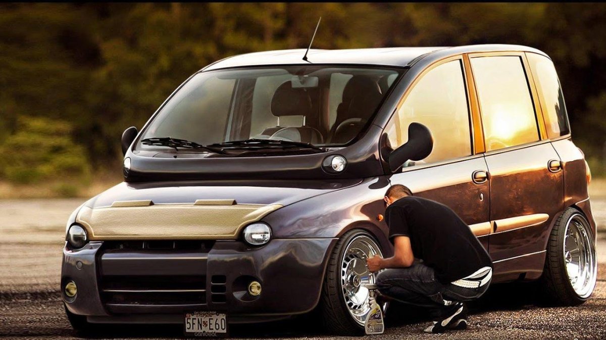 Fiat Multipla стенс