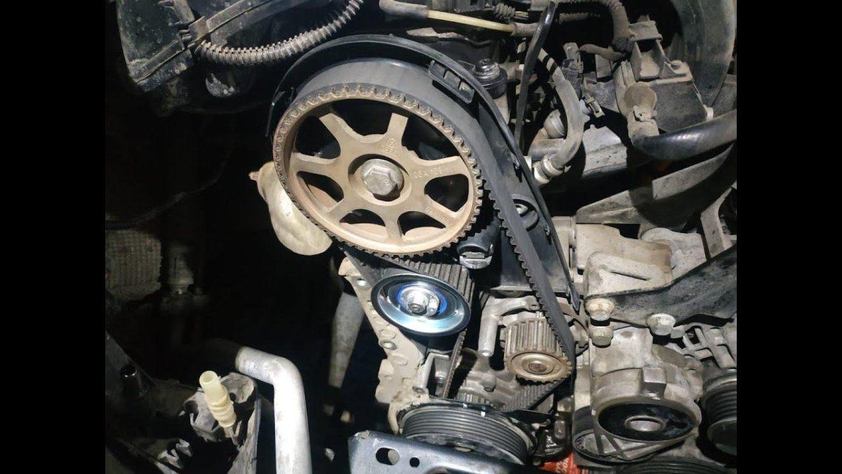 Ремень ГРМ Шкода Октавия а4 1.6