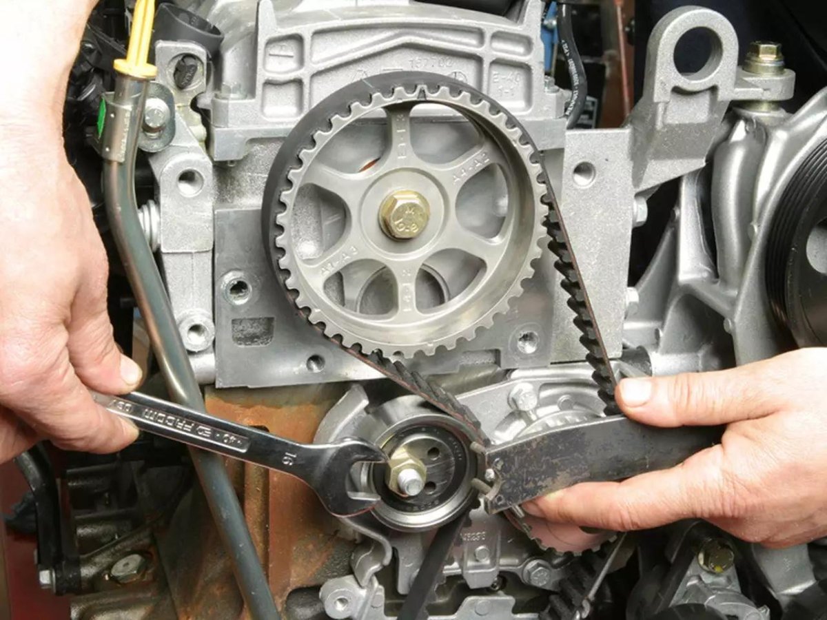 Ремень ГРМ Рено Логан 1.4 8