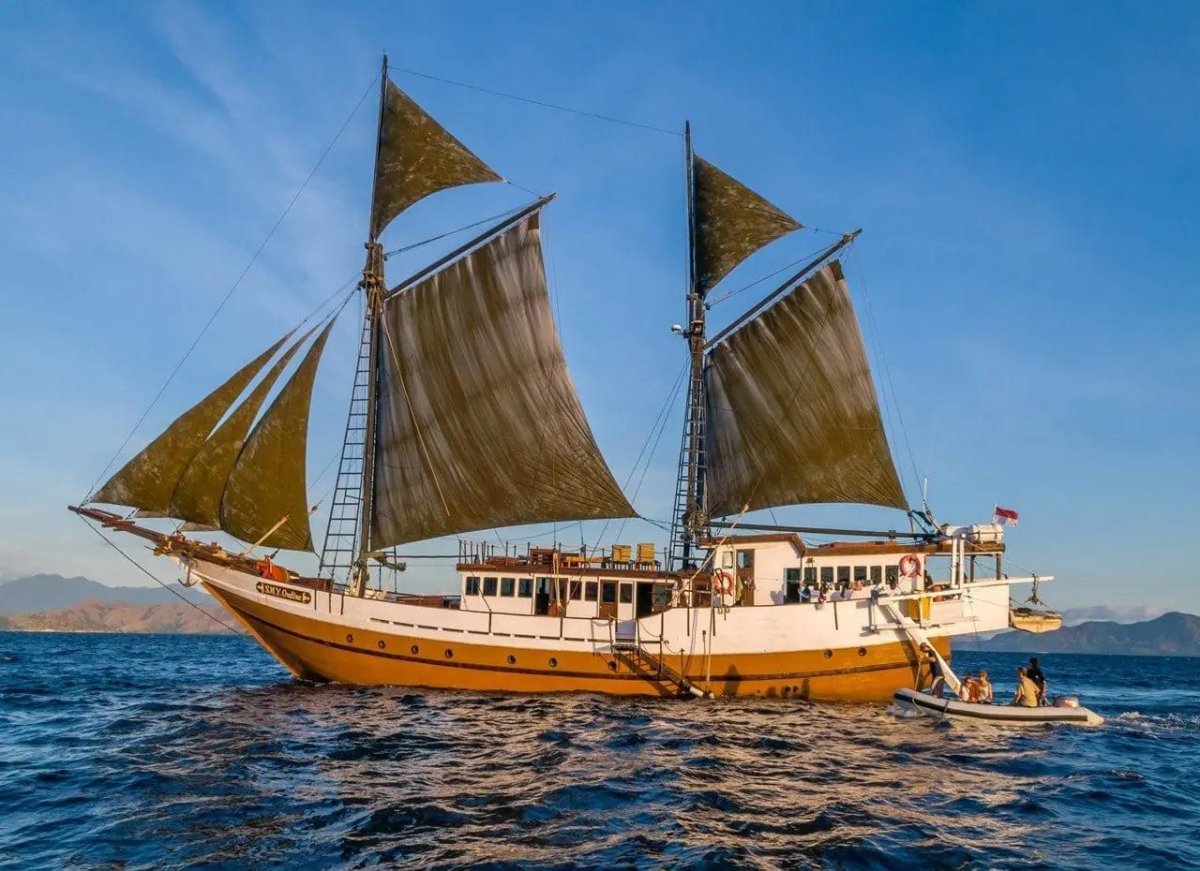 Судно сафари