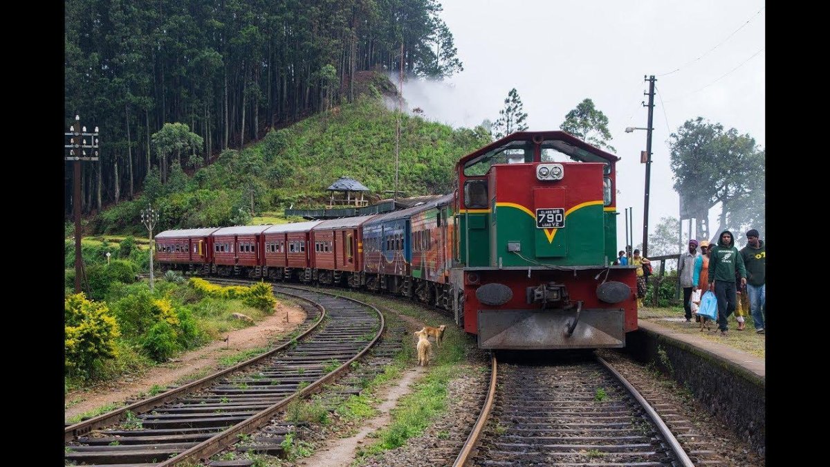 Поезд Элла Нувара Элия