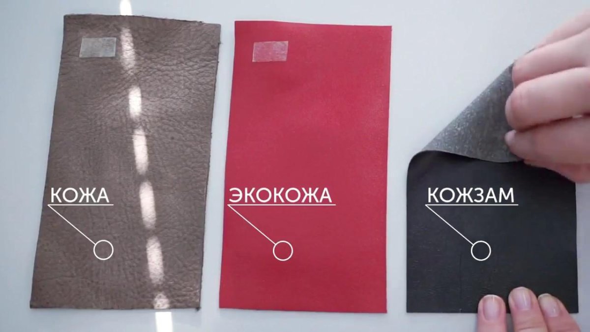 Экокожа и натуральная кожа