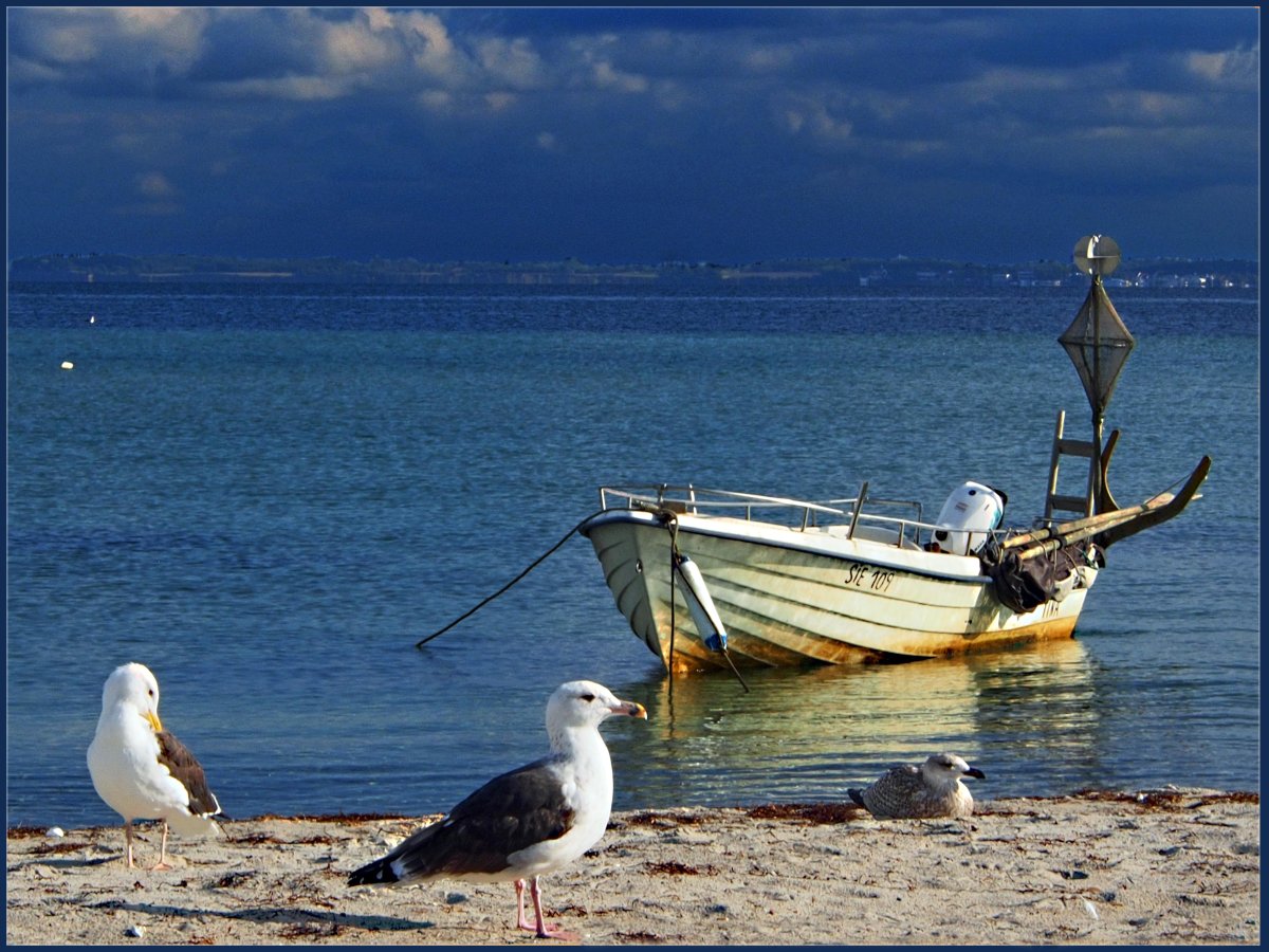 Чайки на причале
