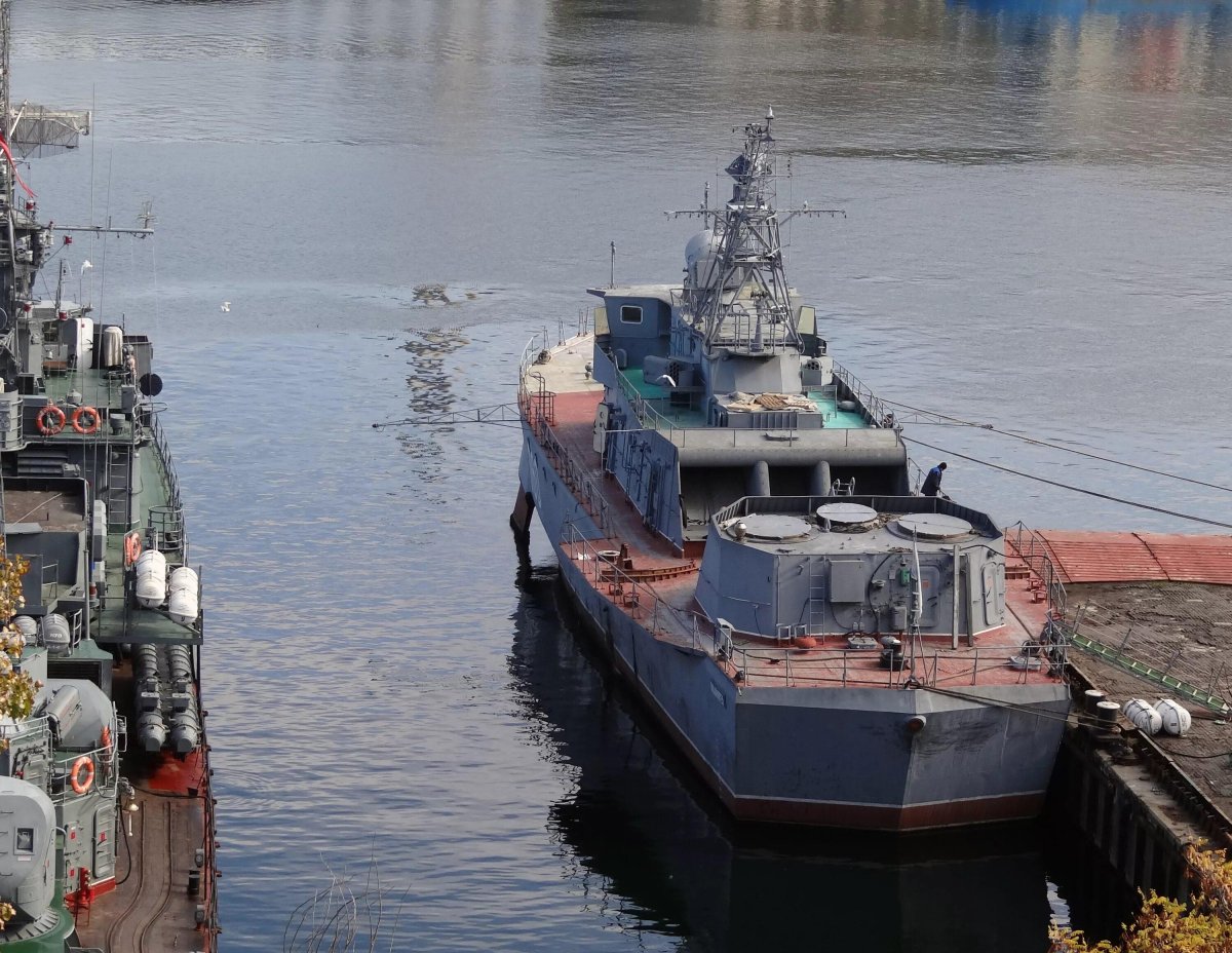 Корабль проекта 1141 Александр Кунахович