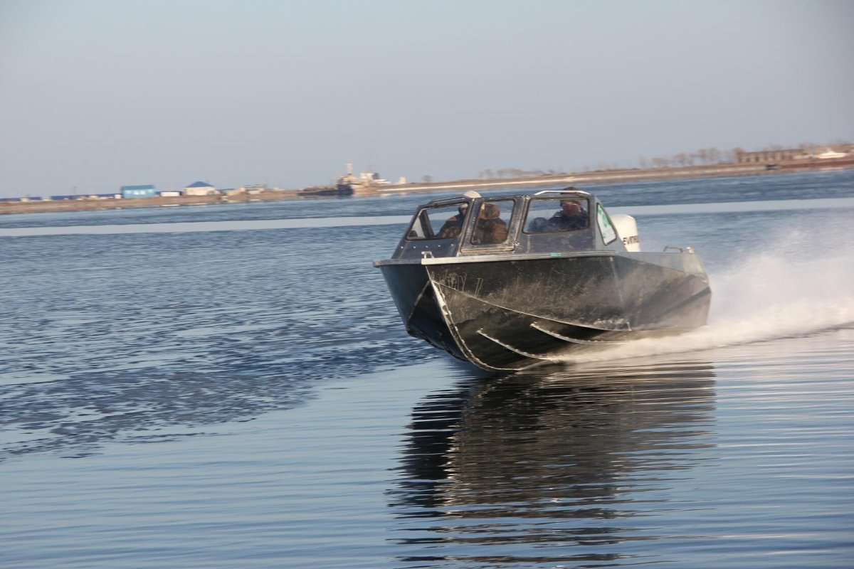 Катер Барракуда 55