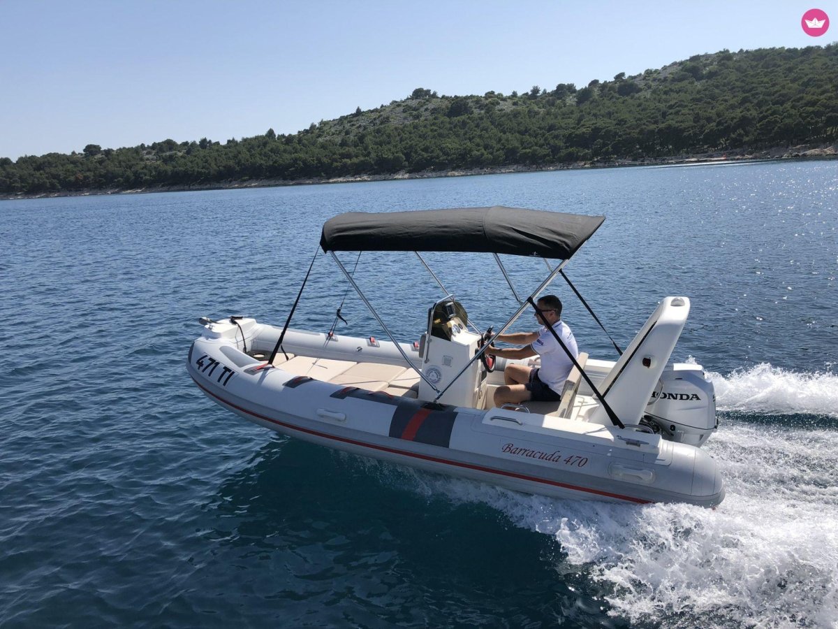 Барракуда 470