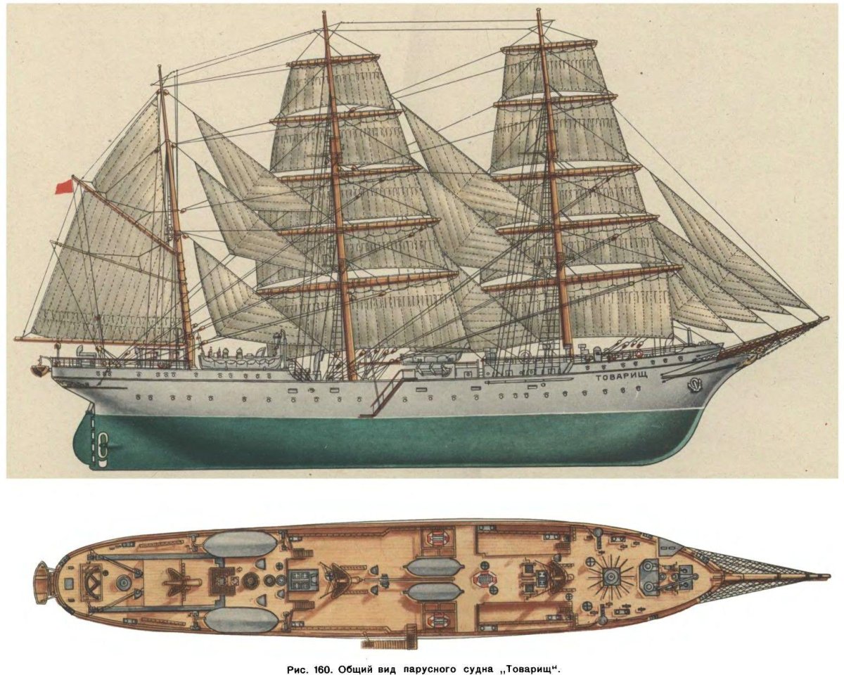 Барк товарищ модель