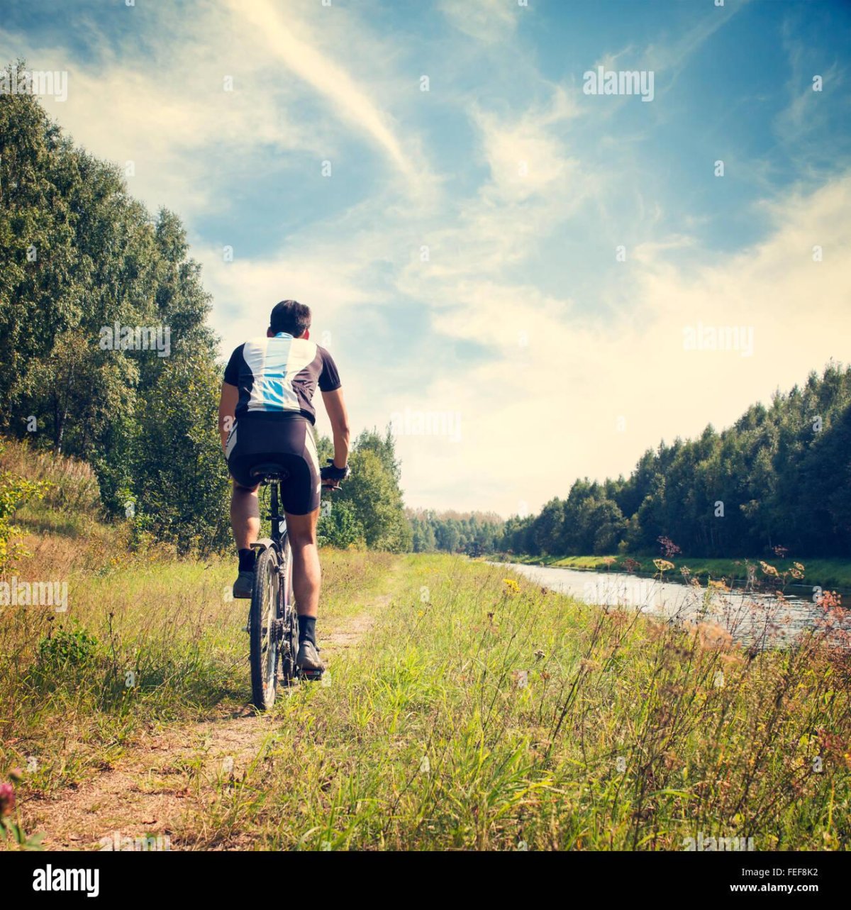 Люди на велосипедах на природе