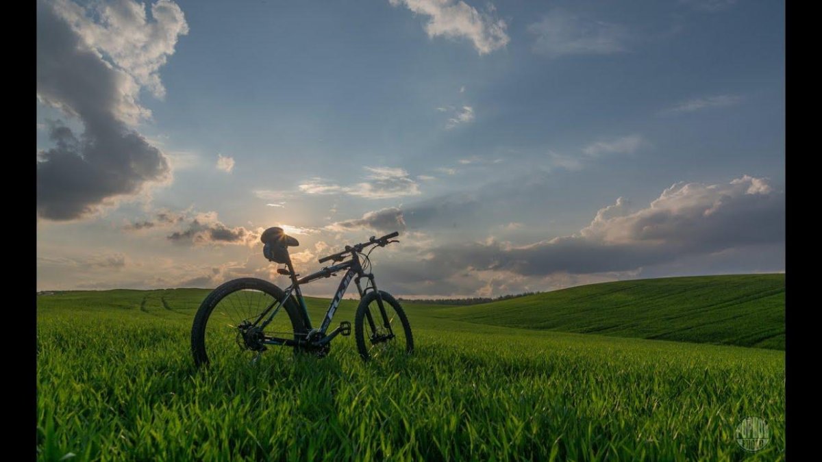Велосипед в поле