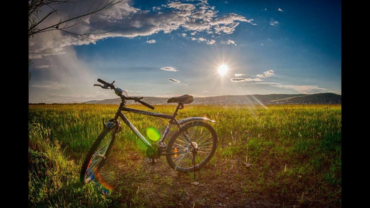 Велосипед на природе
