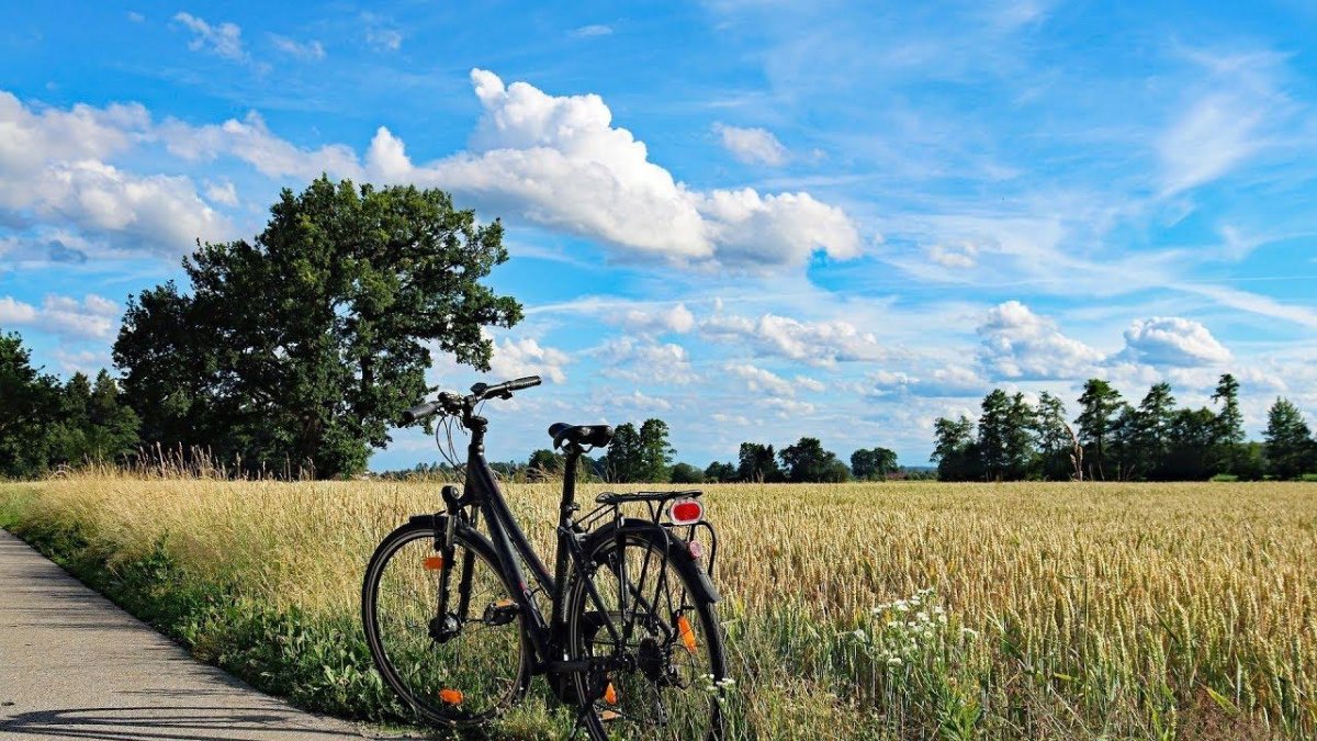 Лето велосипед