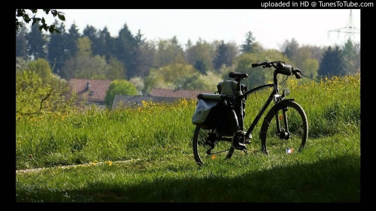 Лето велосипед