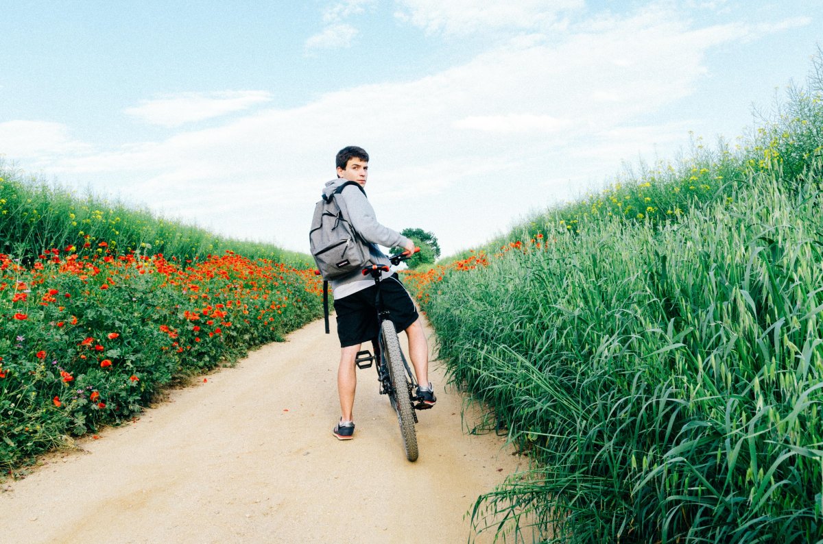 Велосипед в поле