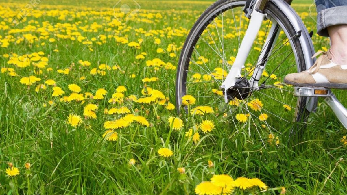 Лето велосипед