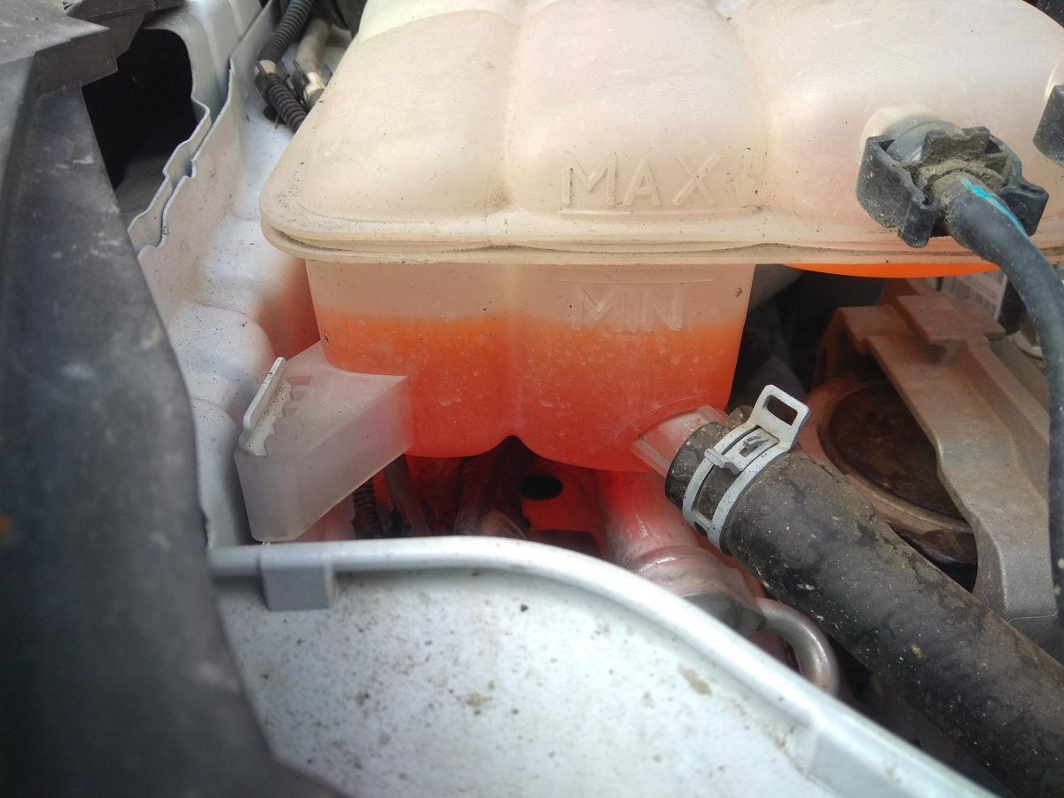 Заглушка антифриза Форд фокус 2 1,8