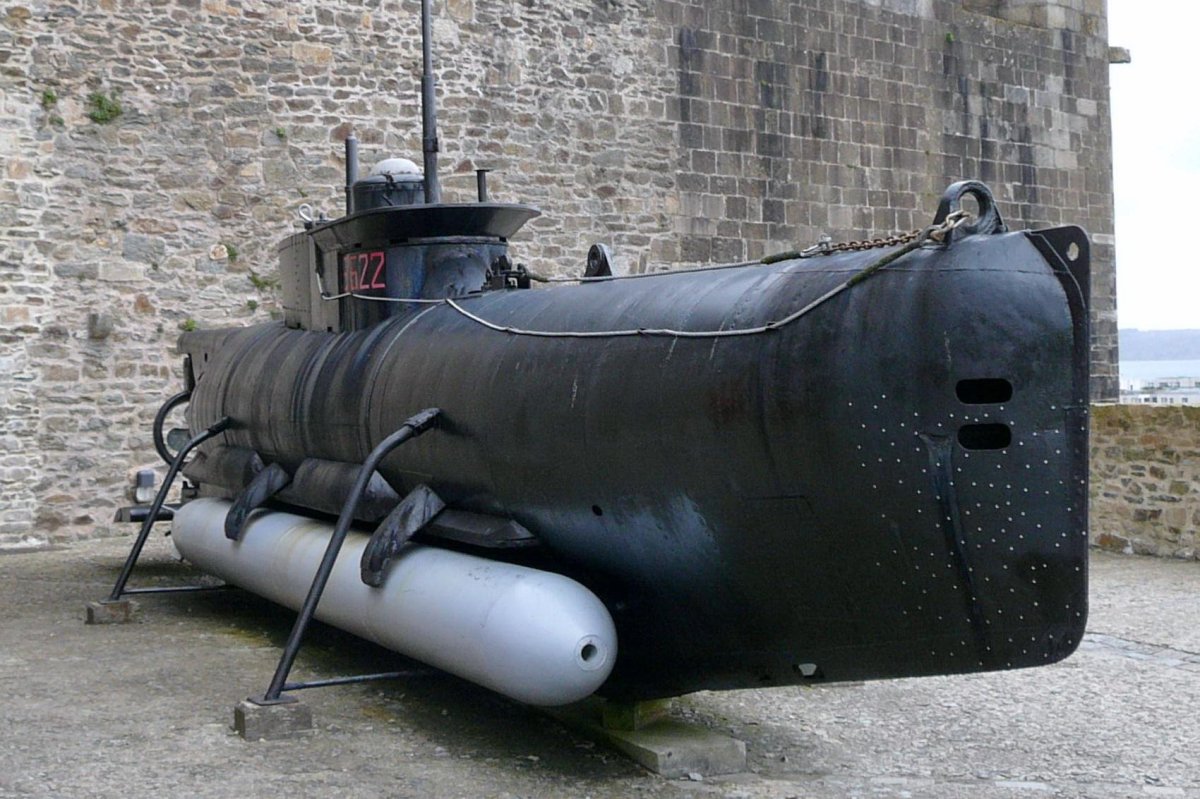 Зеехунд подводная