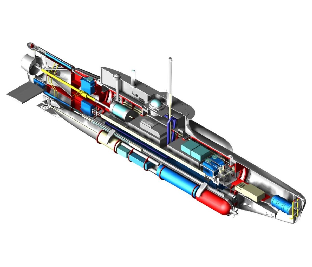 Зеехунд подводная