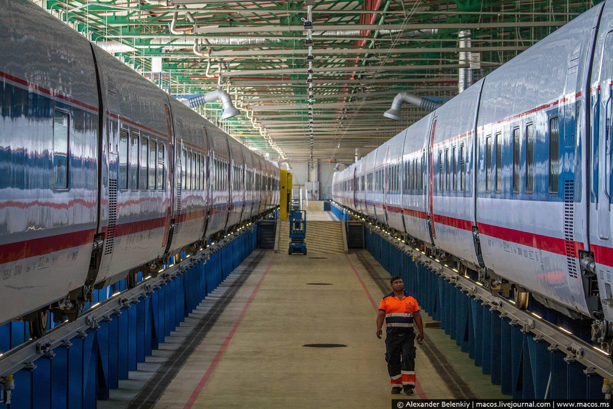 Поезд Стриж тележка