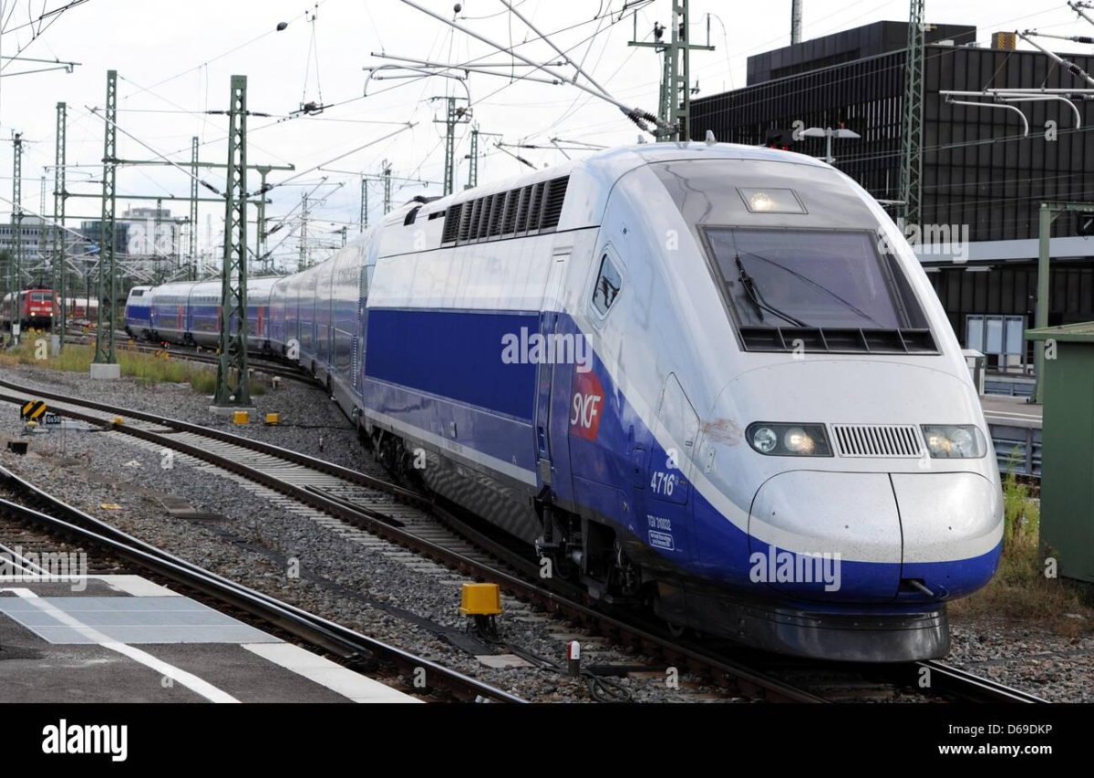 Тальго Стриж