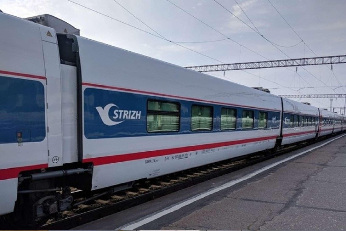 Стриж вагоны Talgo