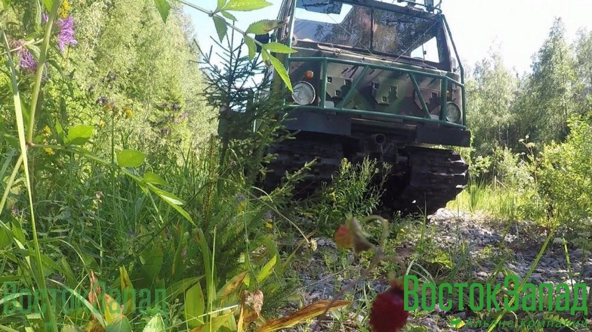 Вездеход bv206 CD