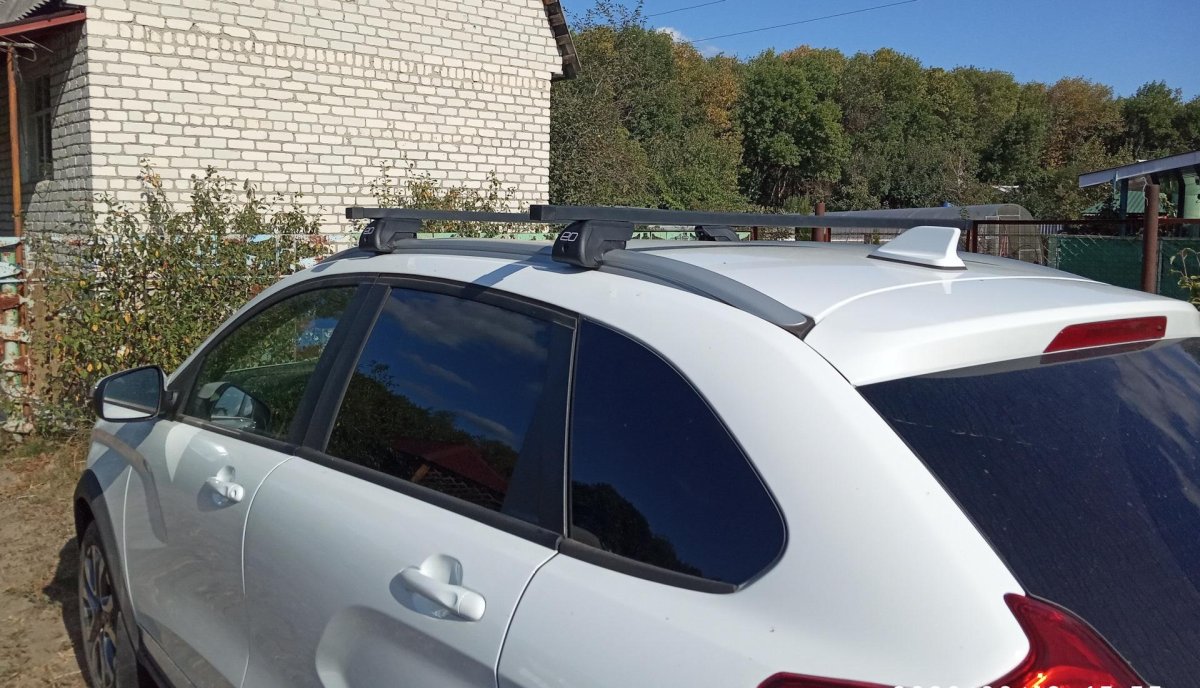 Интегрированные рейлинги на х Рей купить