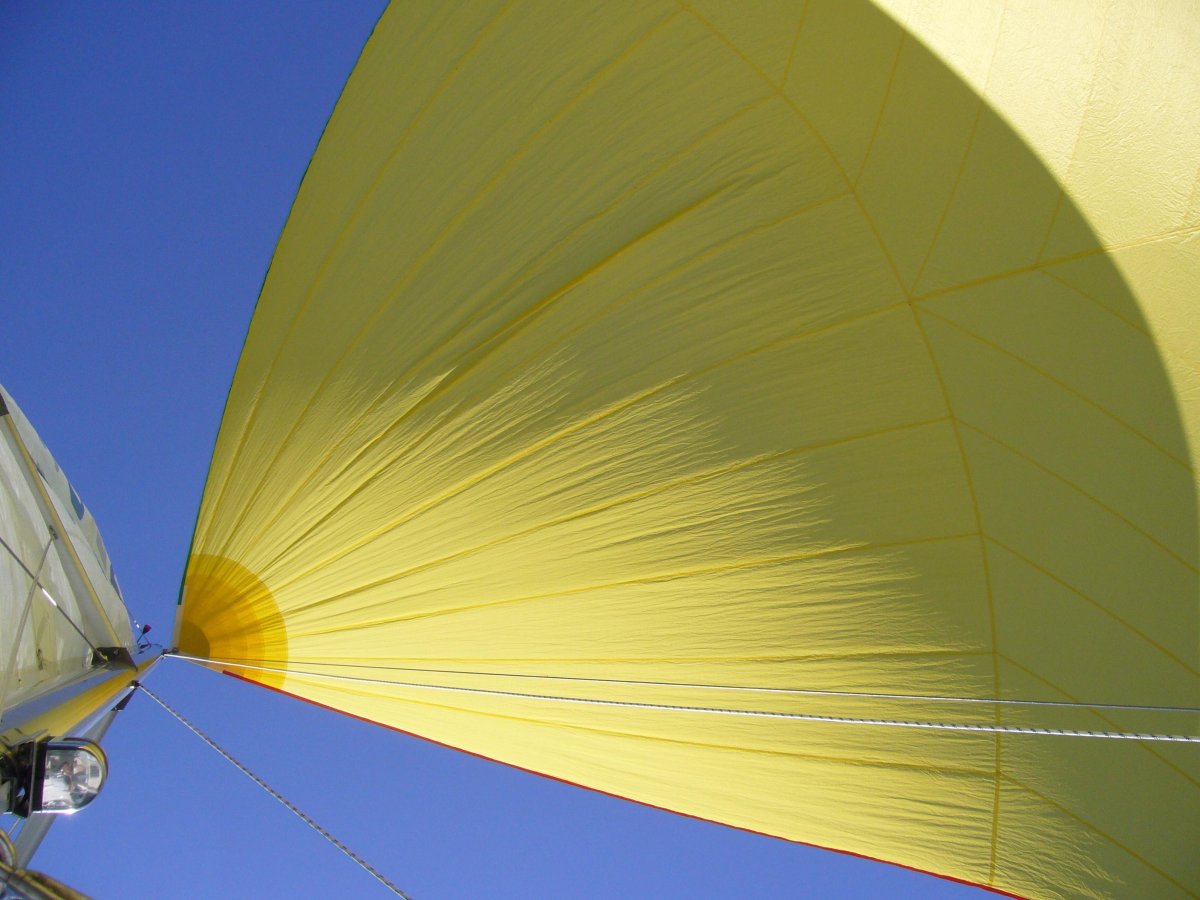 Спинакер вектор