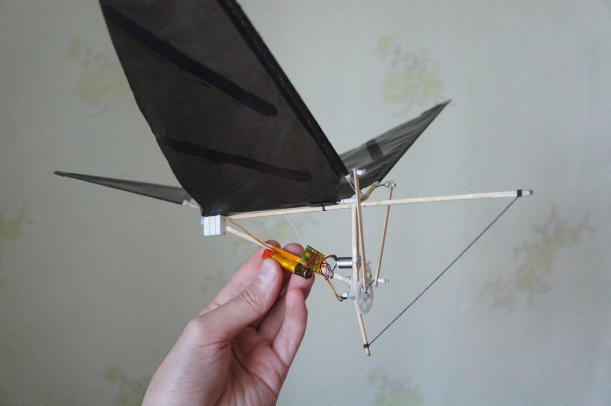 Орнитоптер махолет