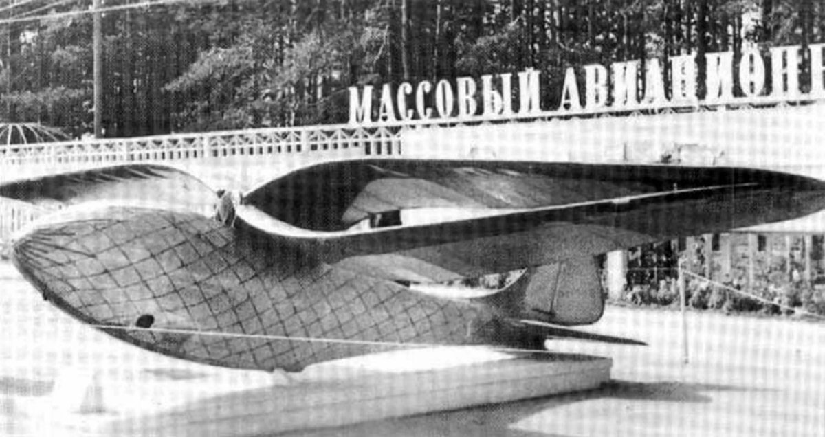 Бич 18 орнитоптер