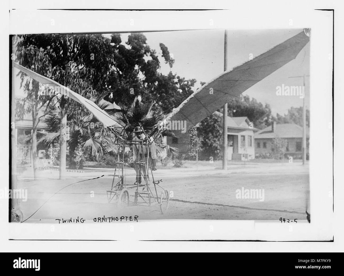 Бич 18 орнитоптер