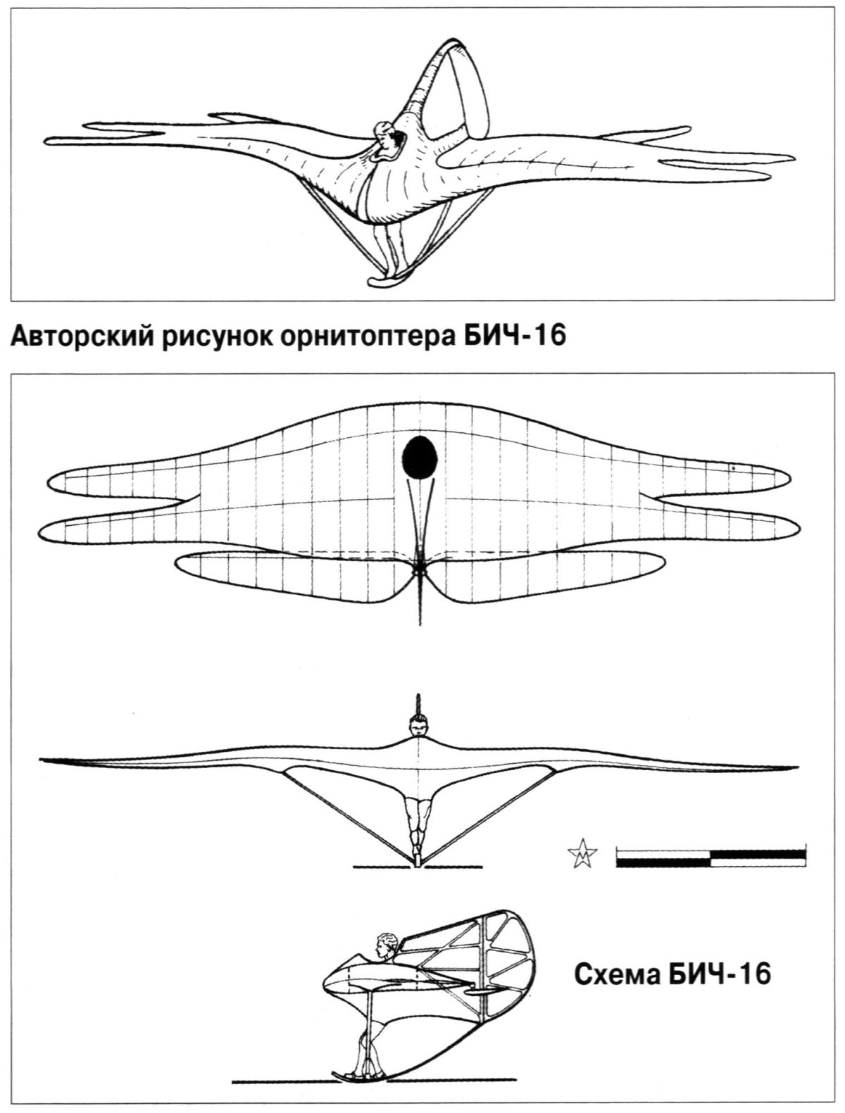 Бич 18 орнитоптер