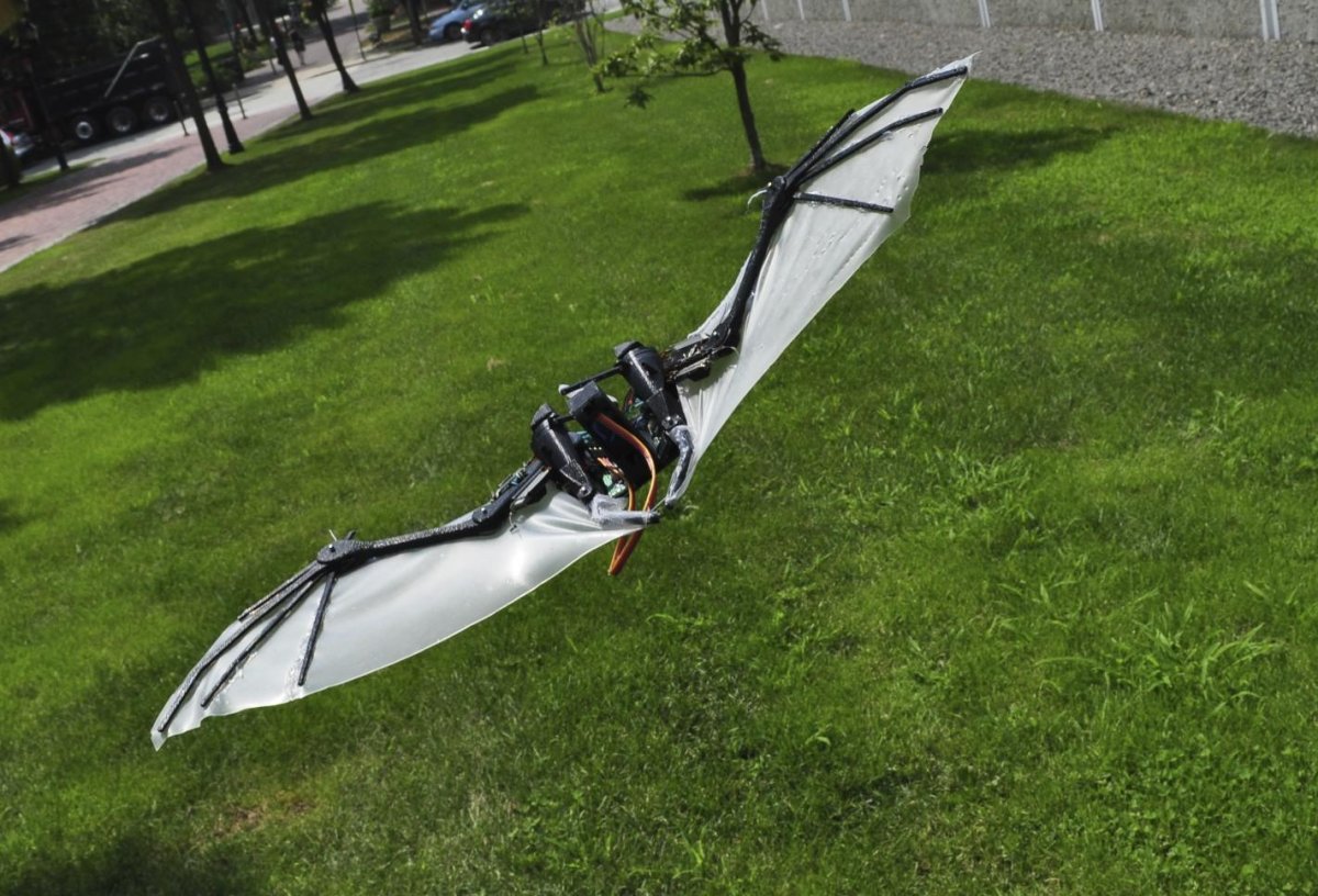 Орнитоптер дрон