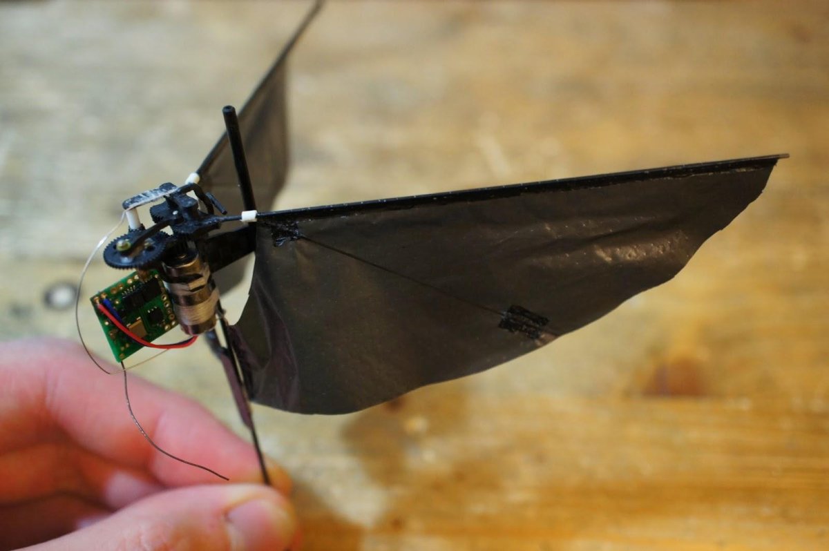 Орнитоптер Леонардо