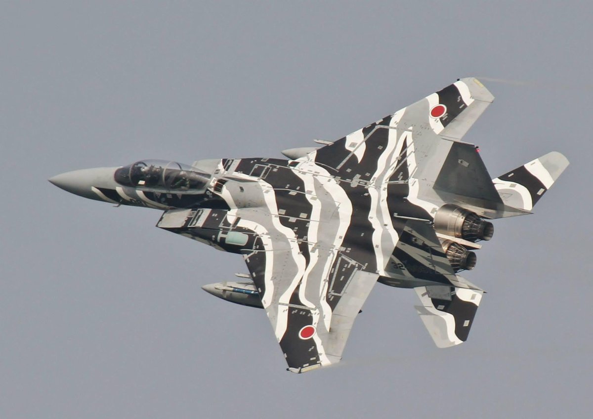 Су 35 камуфляж