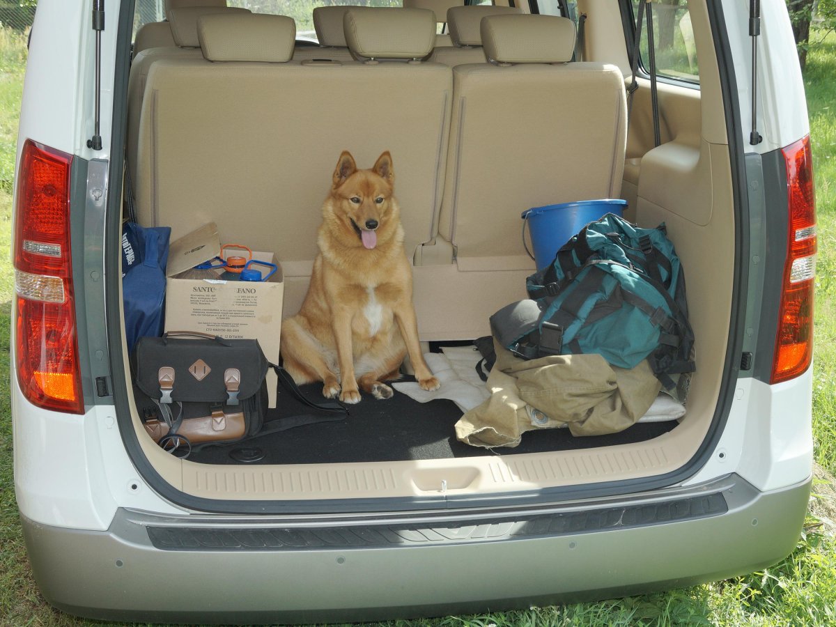 Hyundai h1 багажник