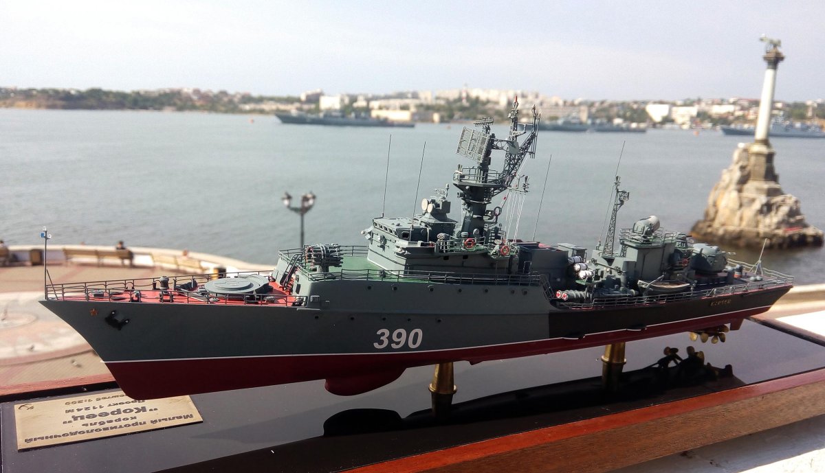 МПК Альбатрос 1124