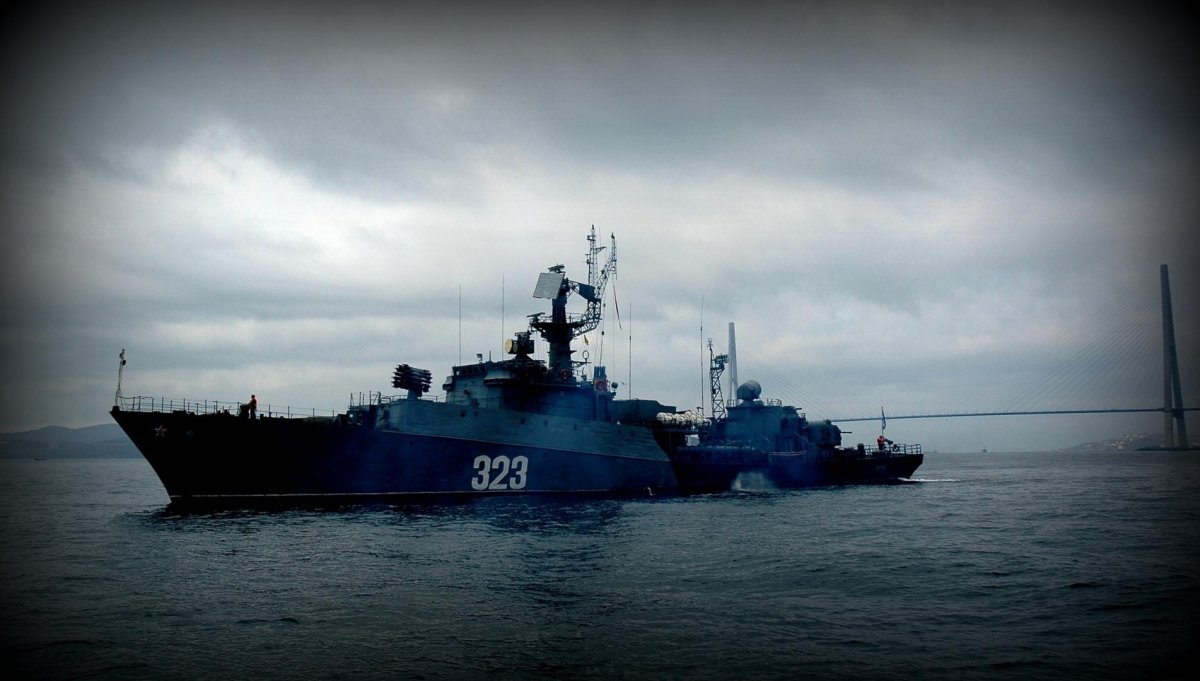 Советская гавань малый противолодочный корабль