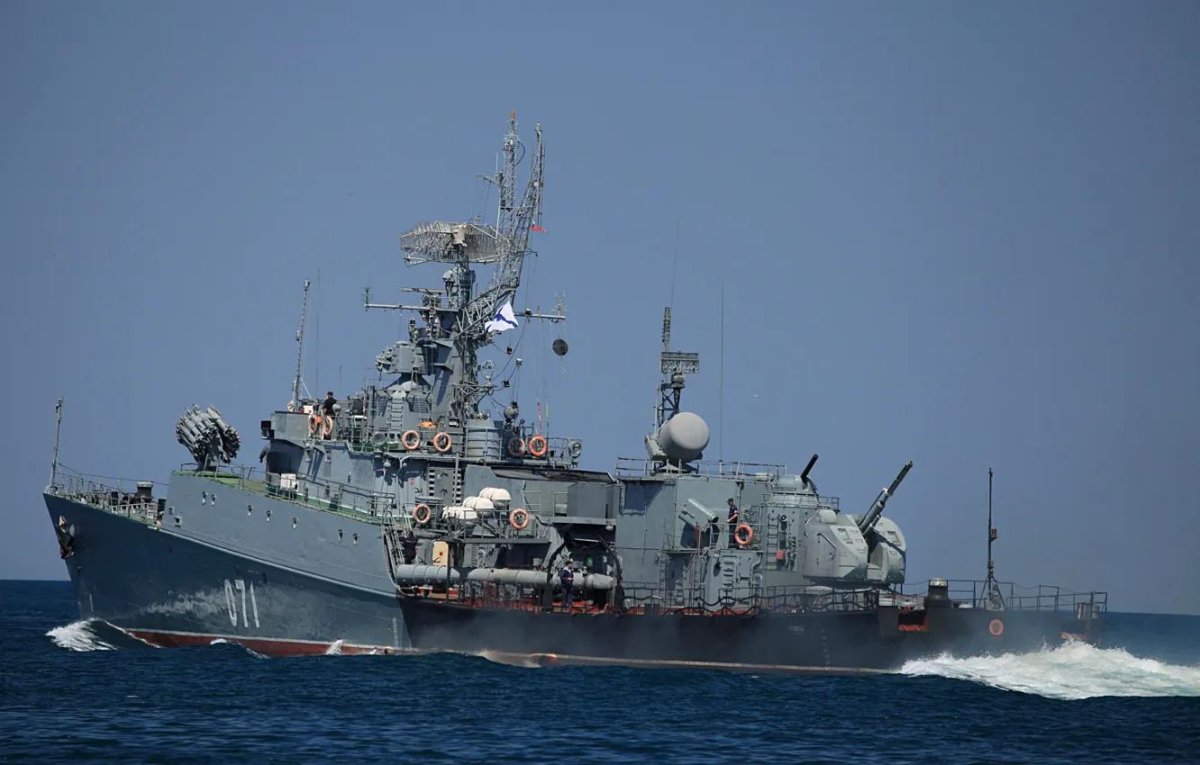 Суздалец малый противолодочный