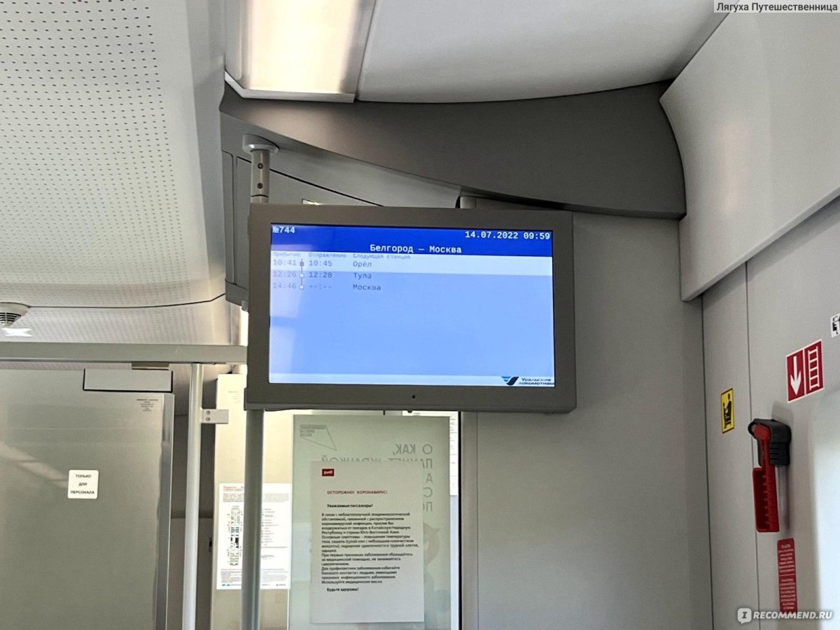 Поезд Ласточка Белгород Москва