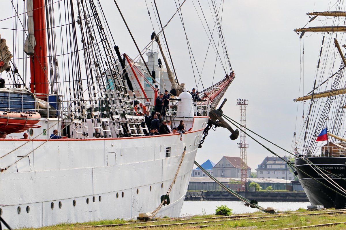 Барк Седов 2022