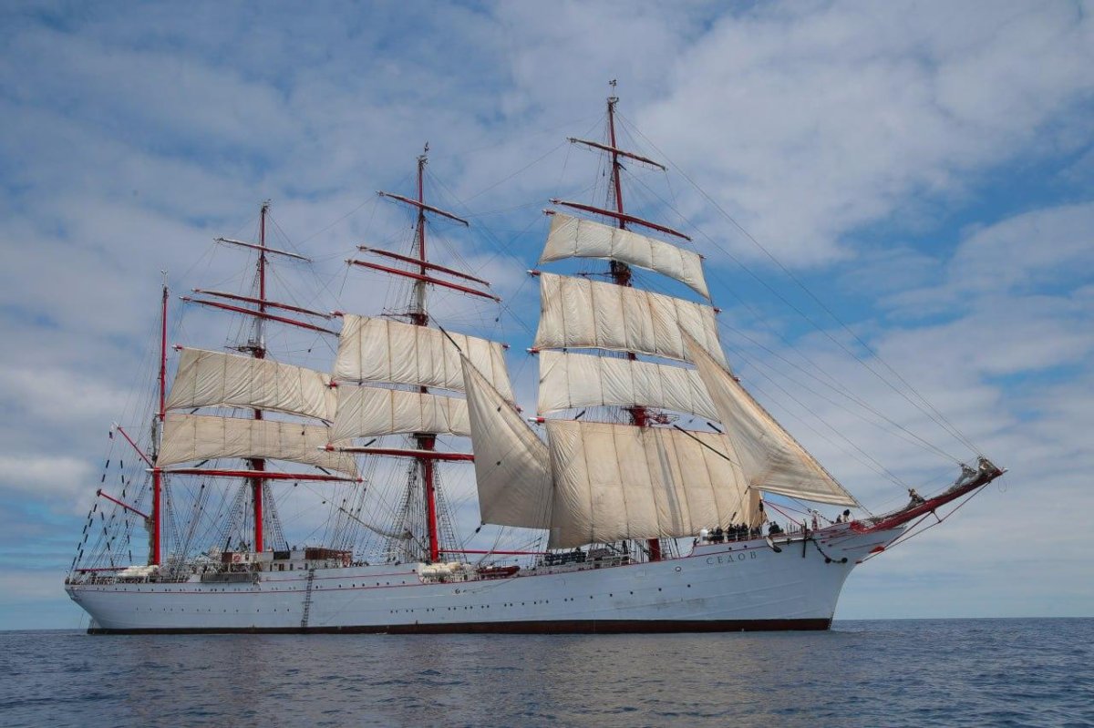 Барк Седов в Санкт-Петербурге