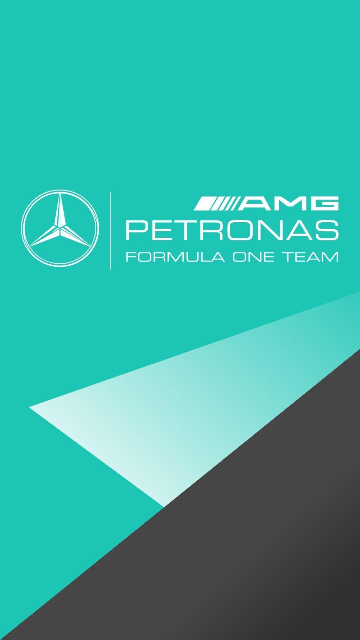 Мерседес АМГ Petronas