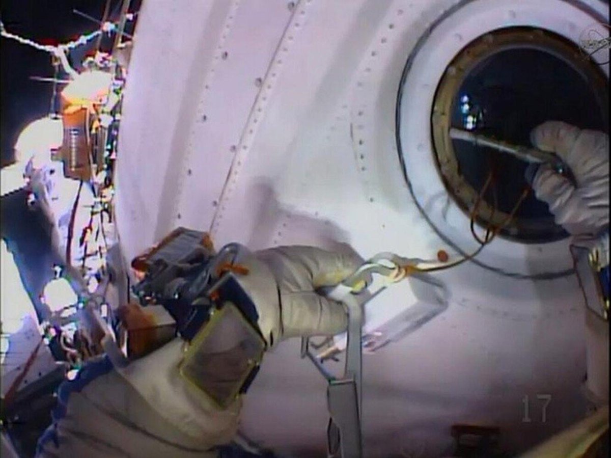 Плесень в космосе