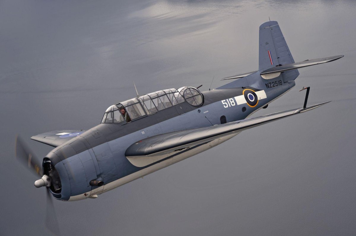 Грумман TBF «Эвенджер»,