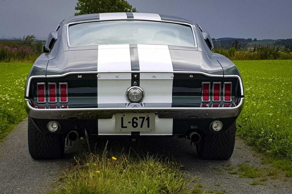 Купить Мустанг как из Форсажа