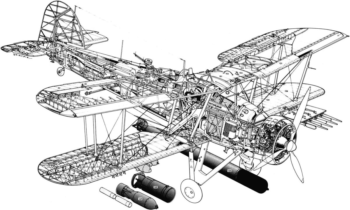 АН-2 Компоновочная схема