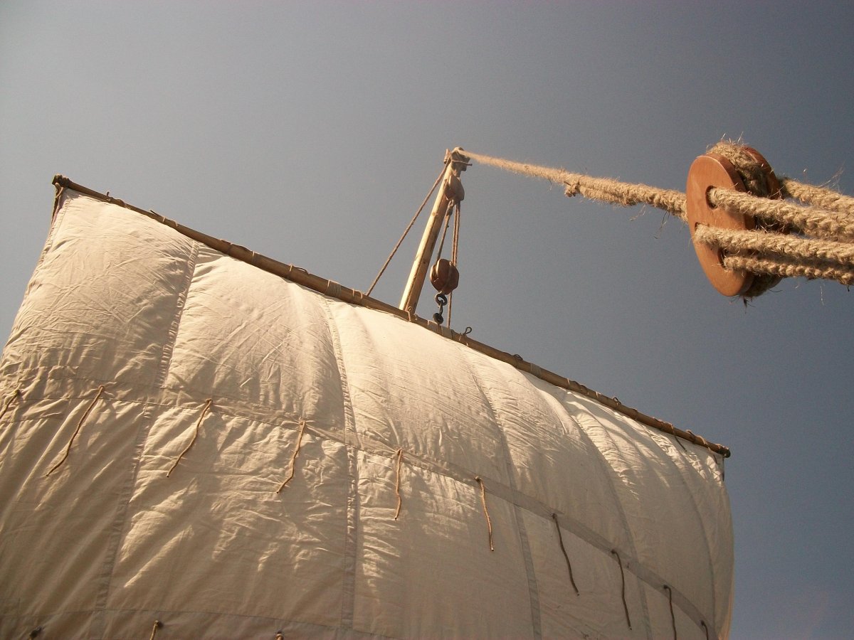 Брифок Парус