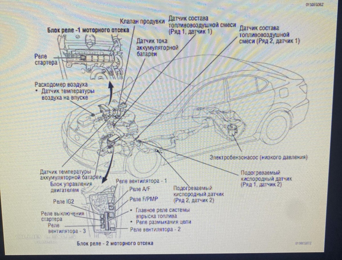 Схема кислородных датчиков Лексус rx300